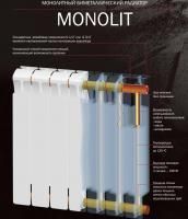Биметаллический секционный радиатор Rifar Monolit 350 / 6 секций